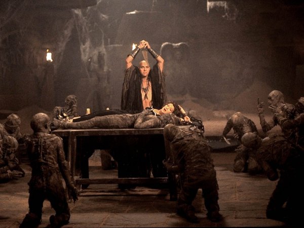 人在棺材腐烂过程图片