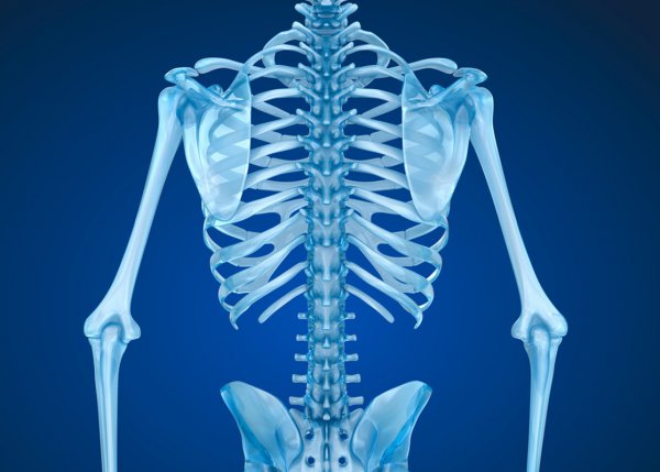 人在棺材腐烂过程图片