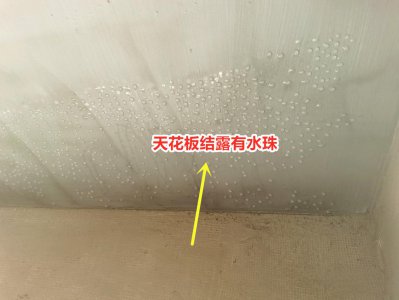 天花板出现凝水珠是漏水吗 天花板有水珠是什么原因