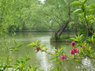 绝句描写的是什么季节 宋代诗人吴涛的绝句写了什么