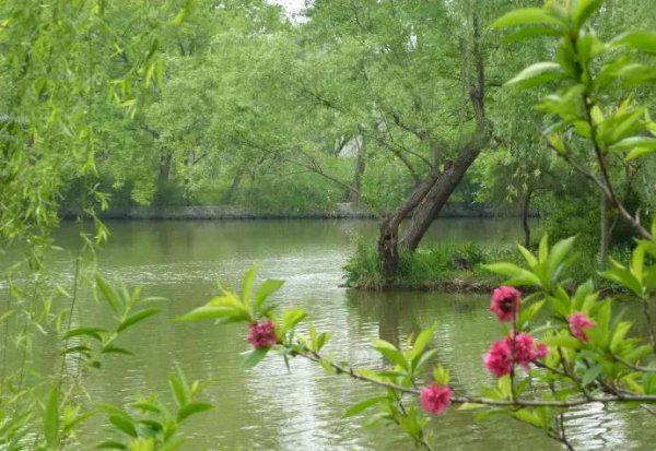 绝句描写的是什么季节