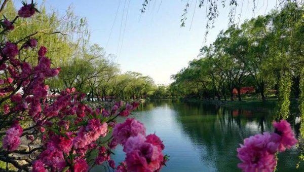 绝句描写的是什么季节