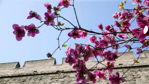 绝句描写的是什么季节