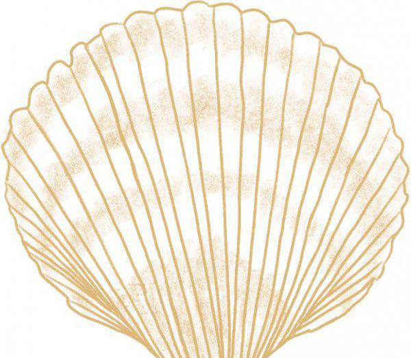 世界十大油田有哪些