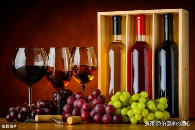 葡萄酒香槟和红酒有什么区别 三者分别都有什么风味