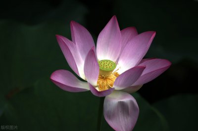 悟道是什么意思有哪些方面 自己做人怎样才能修炼悟得好