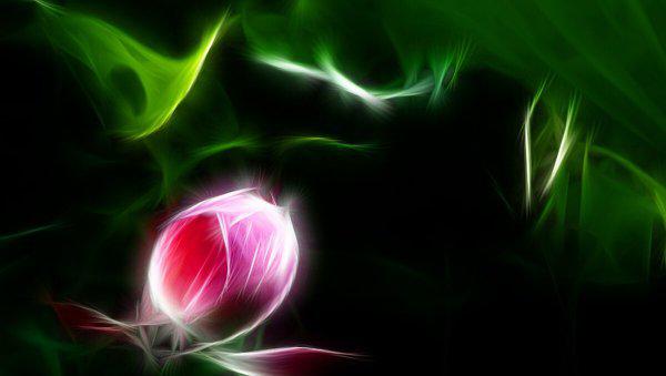 悟道是什么意思有哪些方面