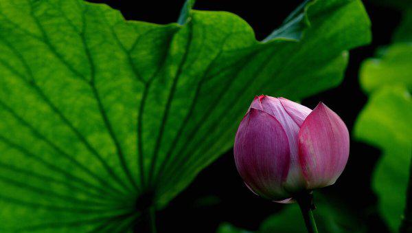 悟道是什么意思有哪些方面