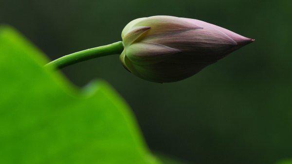 悟道是什么意思有哪些方面