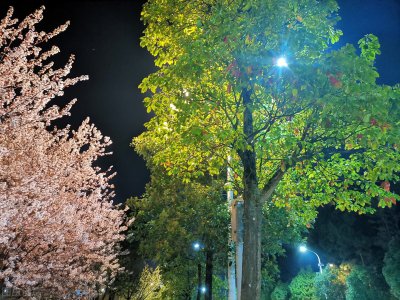 致我们终将逝去的青春结局 电影郑薇最后和谁在一起了