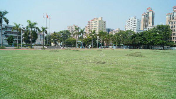 四川排名前十的职业技术学校