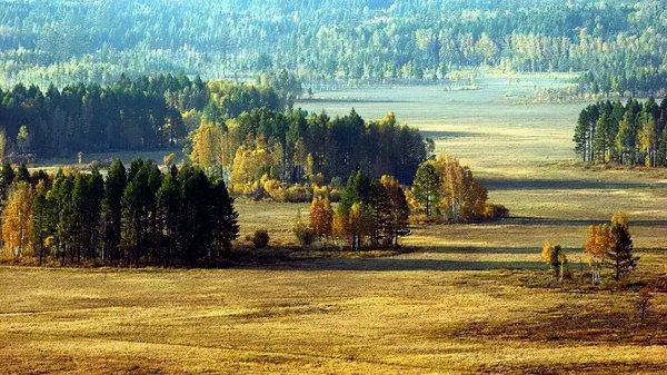 鬼吹灯作者是谁
