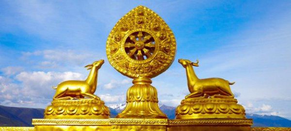 寺庙的尼姑自称是什么