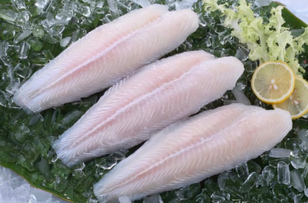 巴沙鱼是什么鱼