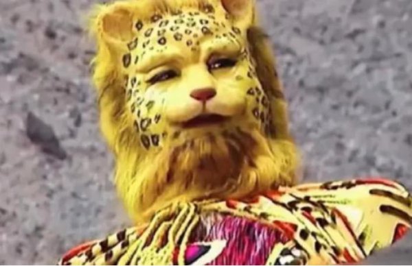 猎豹的美称是什么