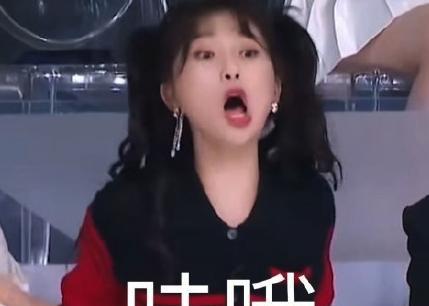 melody刘恭显的简介