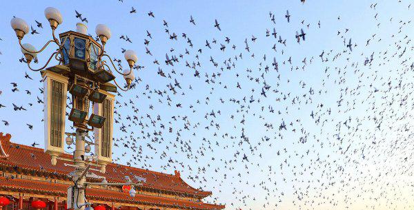 世界上最大的广场排名