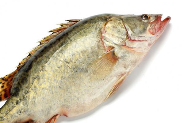 季花鱼和桂鱼的区别