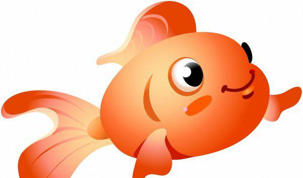 养金鱼需要氧气泵吗