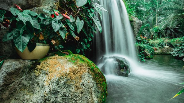 水的寓意和文化