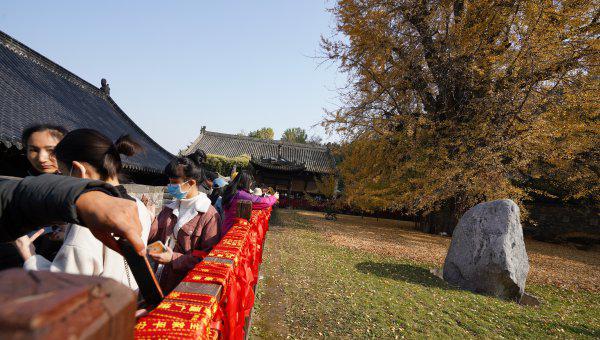 李世民种的银杏树在哪里