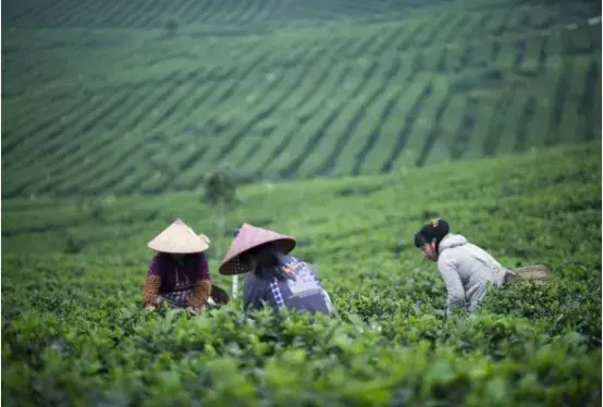 九江特产有哪些土特产