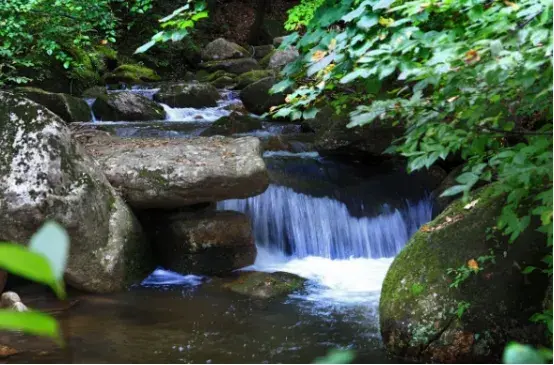 九江特产有哪些土特产