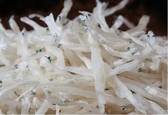 九江特产有哪些土特产