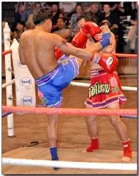 世界武术排名前十位