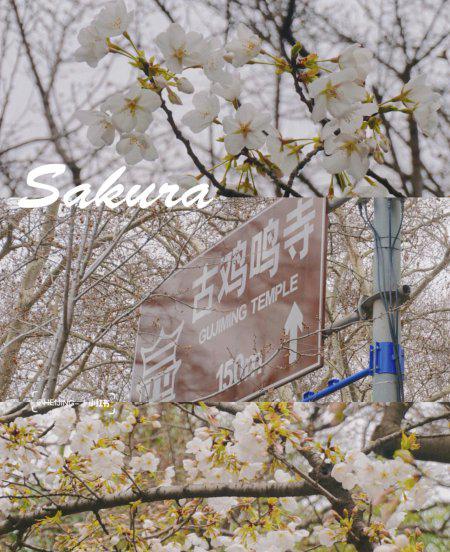 南京景点有哪些好玩的地方