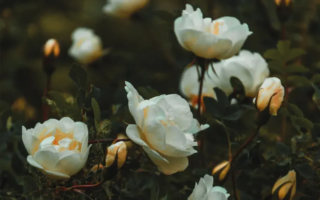 一个男生经常找你聊天是什么意思