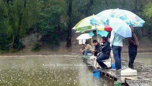 下雨天钓鱼有什么技巧