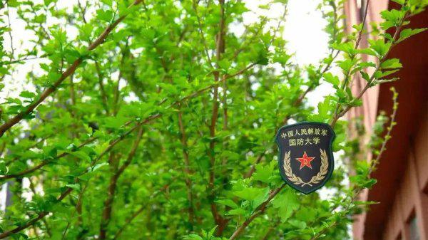 国防科技大学和国防大学的区别