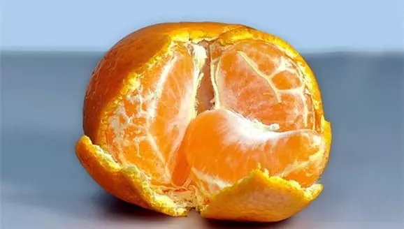 跳蚤最怕什么味道擦在身上