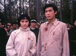 宋晓英个人资料简介