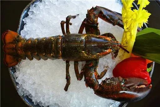 养殖什么风险小利润大