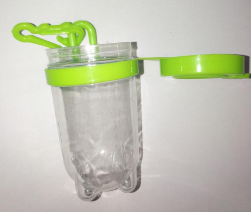 臭屁虫怕什么怎么才能消灭它