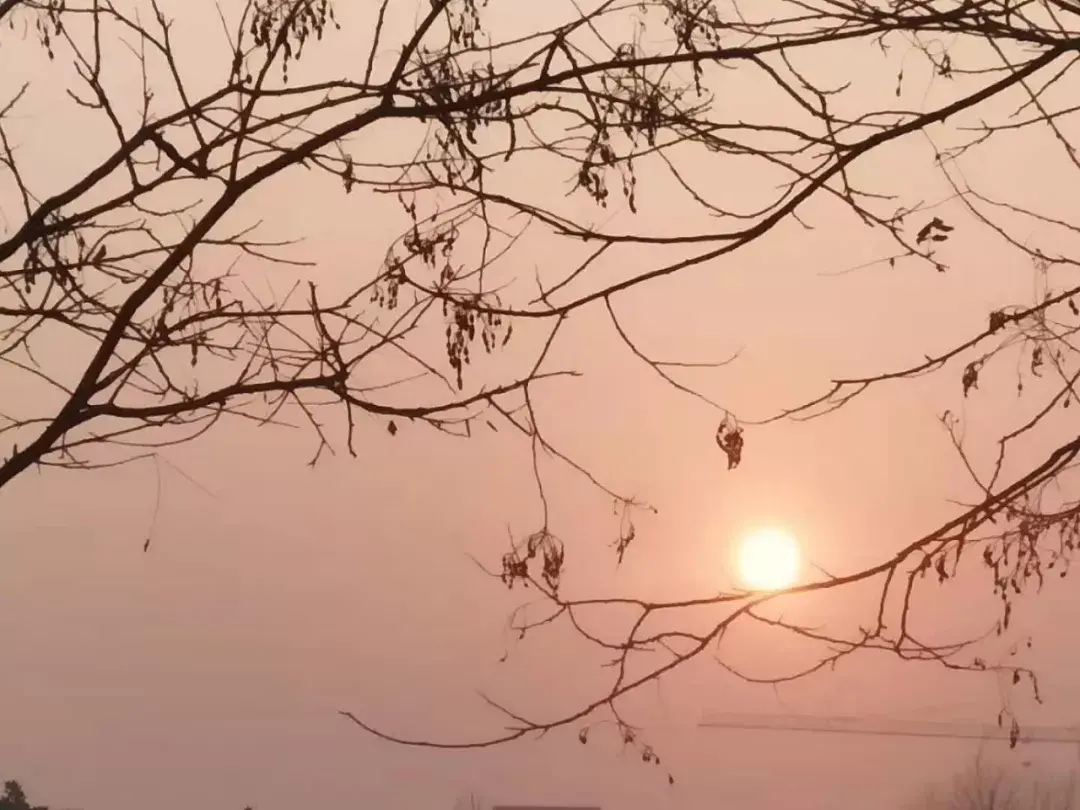 高一高二高三分别学必修几