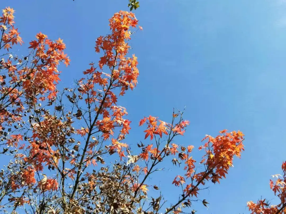 高一高二高三分别学必修几