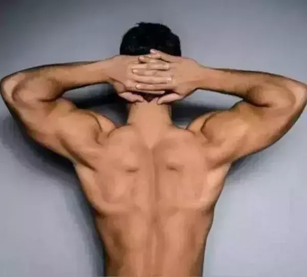 身体核心是指哪里