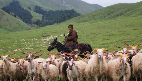 四川的名胜古迹有哪些