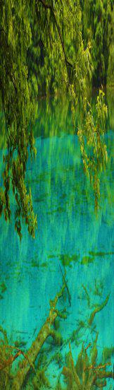 四川的名胜古迹有哪些