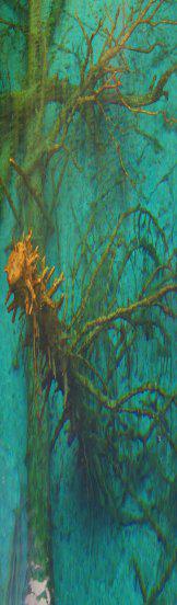 四川的名胜古迹有哪些