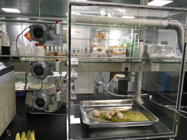 酸性气体有哪些