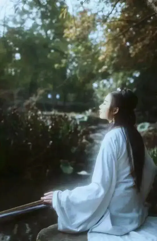 半山听雨表达什么样的感情