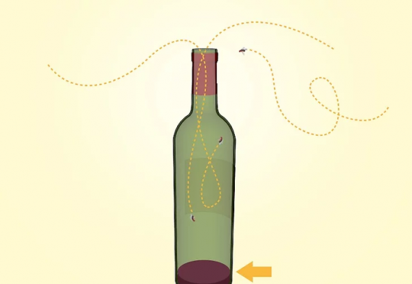 如何消灭果蝇小飞虫