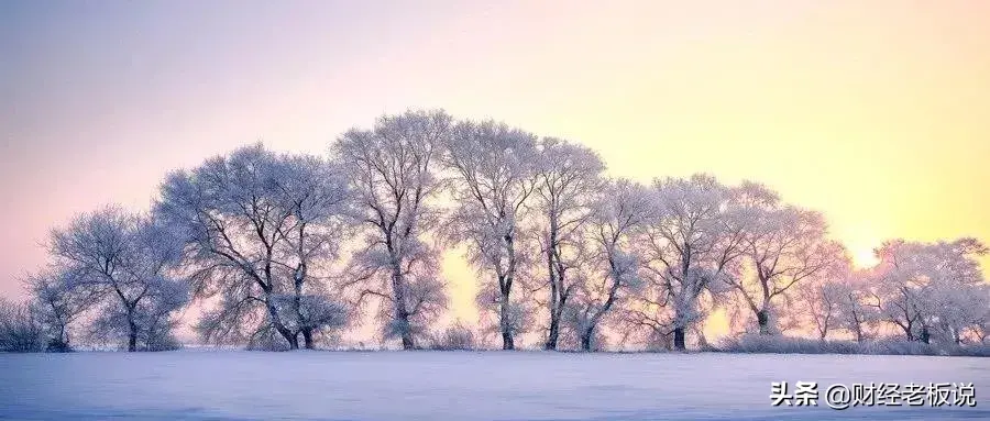 十大至高法则有哪些