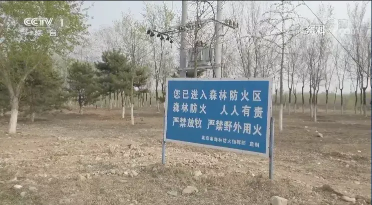 森林火灾等级划分标准依据