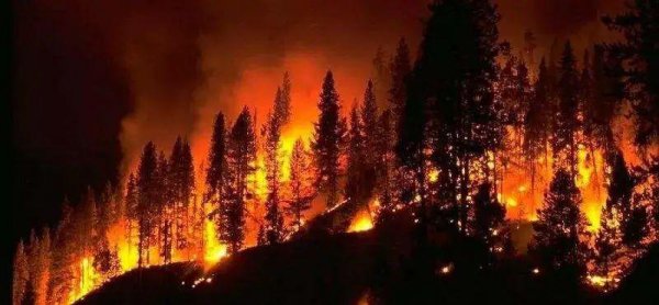 森林火灾等级划分标准依据