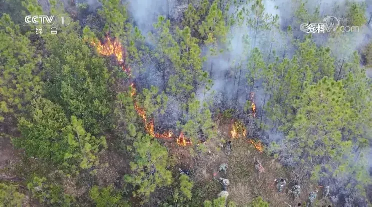 森林火灾等级划分标准依据